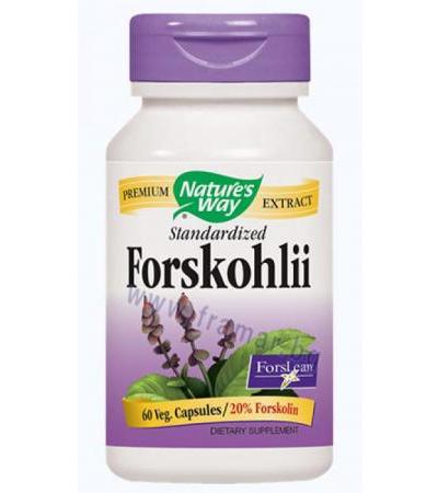 ФОРСКОЛИЙ капсули * 60 NATURE'S WAY